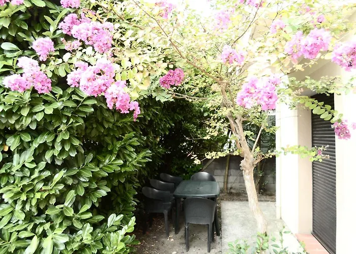 Le Voisin Toulousain 1 Apartment